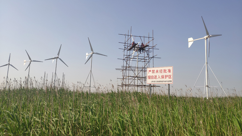 上海三甲港风力发电机